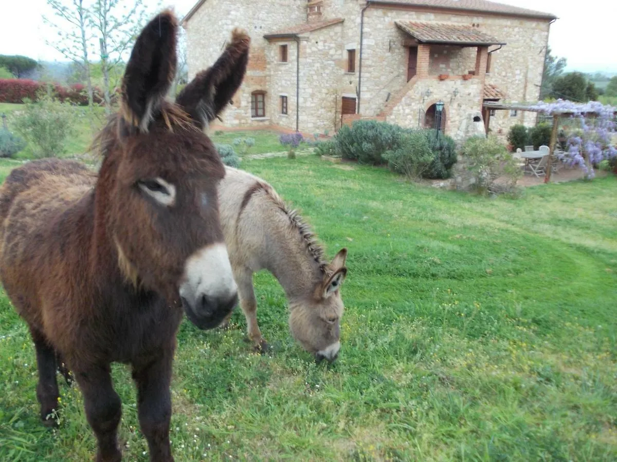 Le Pergoline B&B Casciana Terme Oda ve Kahvaltı