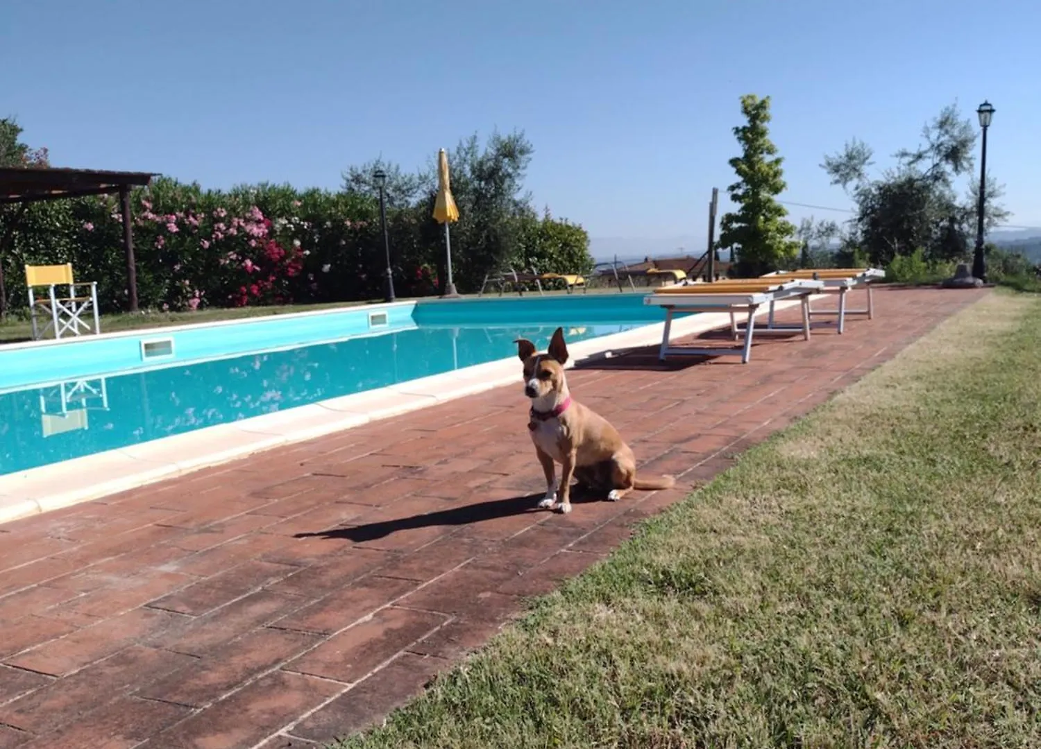 Le Pergoline B&B Casciana Terme 0*,